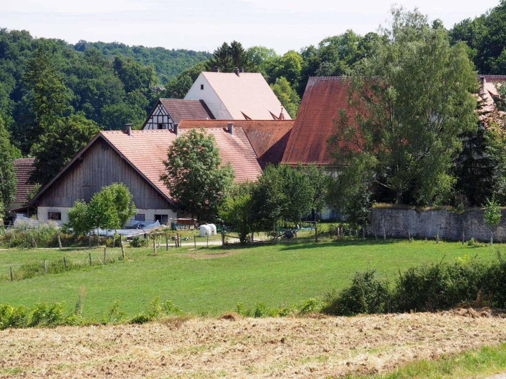 Ferienwohnung Pension Waldblick ハイデンハイム・アン・デア・ブレンツ エクステリア 写真
